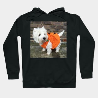 Pumpkin dog Hoodie